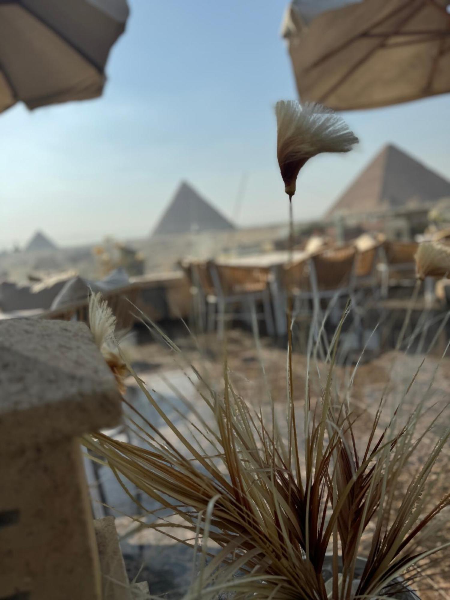 Yuya Pyramids Hotel 3*